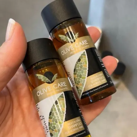 Gemini Сasa de vacaciones Nikiti (Sithonia)