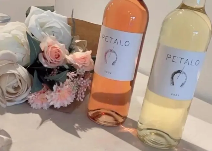 Сasa de vacaciones Gemini Nikiti (Sithonia)